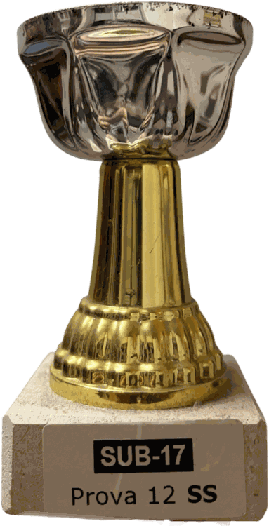 Taça de badminton, sub-17
